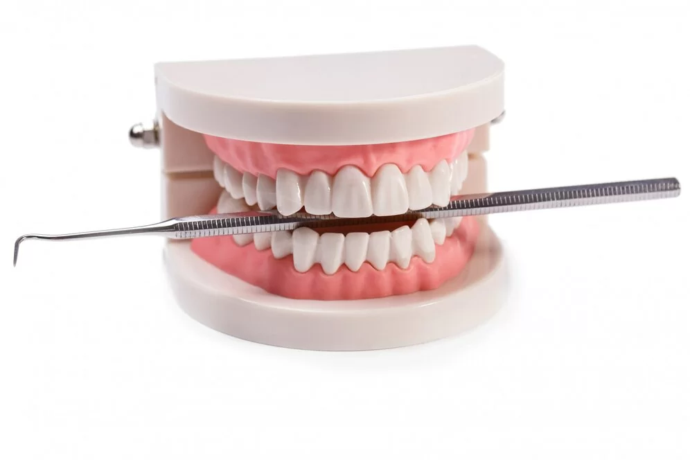 Ортогнатический прикус зубов